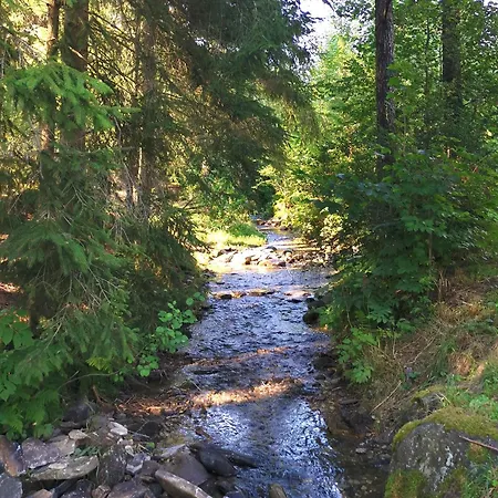 Traumhafter Bayerischer Wald - Am Badesee