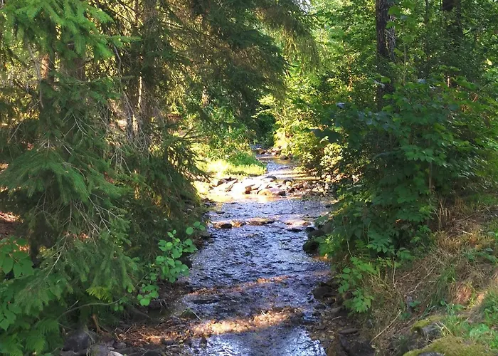 Traumhafter Bayerischer Wald - Am Badesee